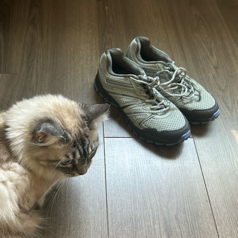 FIFA athletic shoes, size 7.5 CAT IS NOT INcLUDED 😁